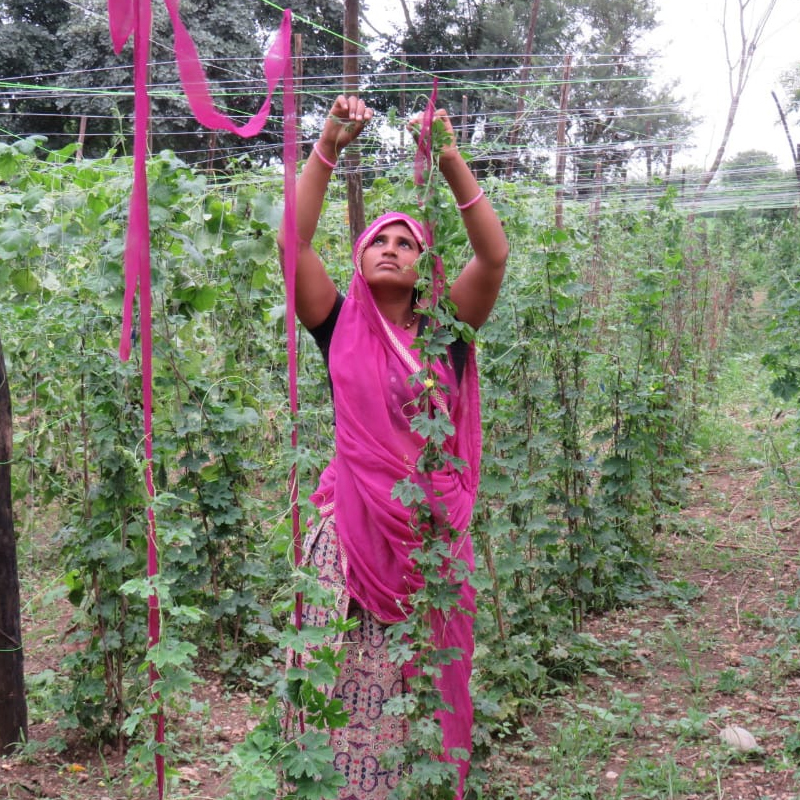 International Women Day 2019